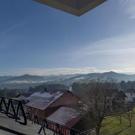 Gamsfels Josephine Galeriewohnung Langen Bei Bregenz